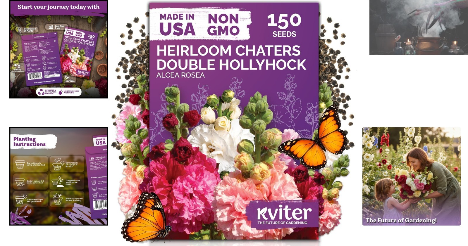 High Germination Rate Hollyhock Seeds – Attract Bees & Butterflies Outdoors
