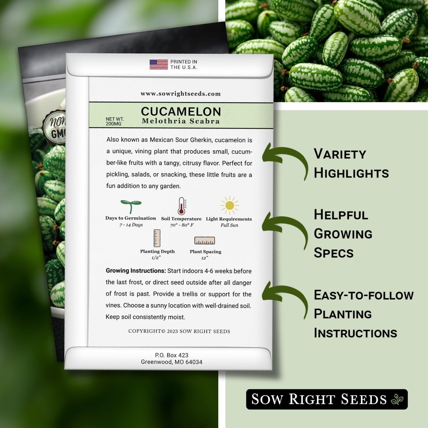 Sow Right Seeds – Cucamelon for Planting – Non-GMO Heirloom Green