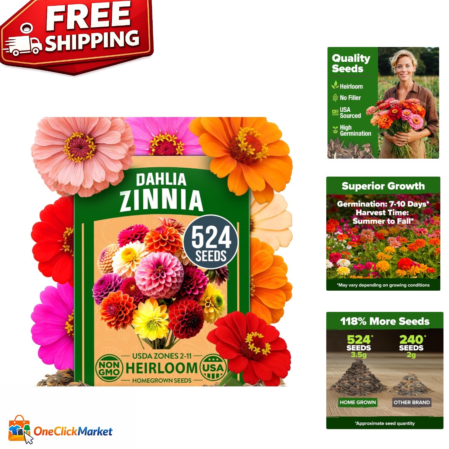 Pollinator Garden Essential: 524 Zinnia Dahlia Seeds with High Germination Rate