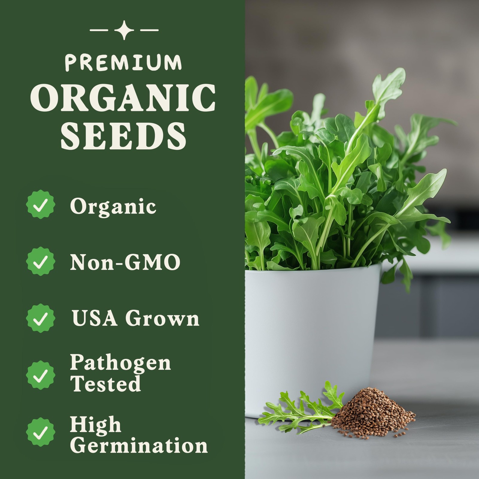 Seedboy Organic Arugula ‘Slow Bolt’ Seeds for Planting Indoor and Outdoor, No…