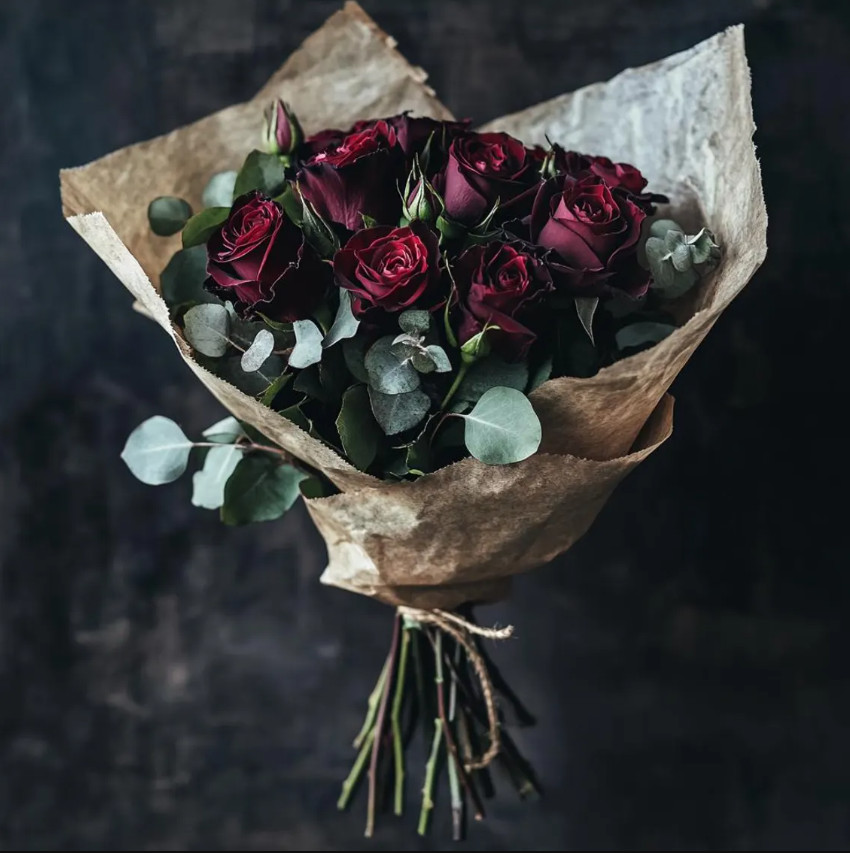 Black Baccara Roses Live Starter Plant Dark Red to Black Blooms 4-6″Tall No Pot