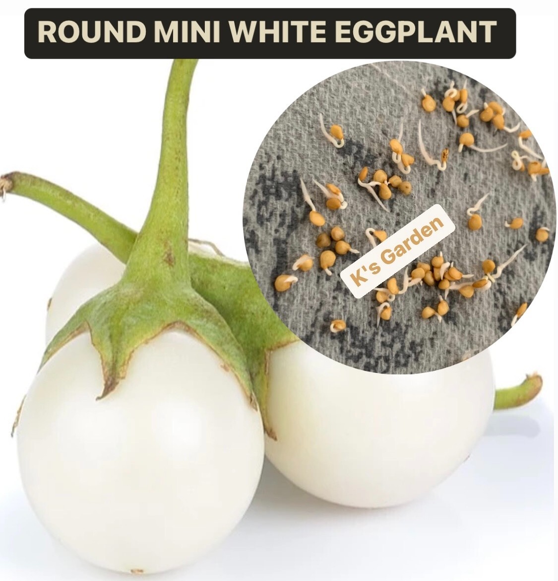 100+PCS WHITE ROUND EGGPLANT SEEDS, CÀ PHÁO TRẮNG