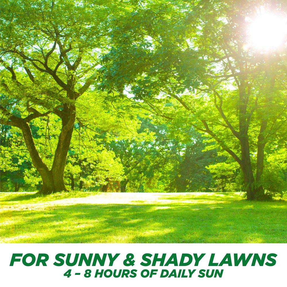 GRASS SEED PATCH REPAIR Tall Fescue for Sun to Partial Shade