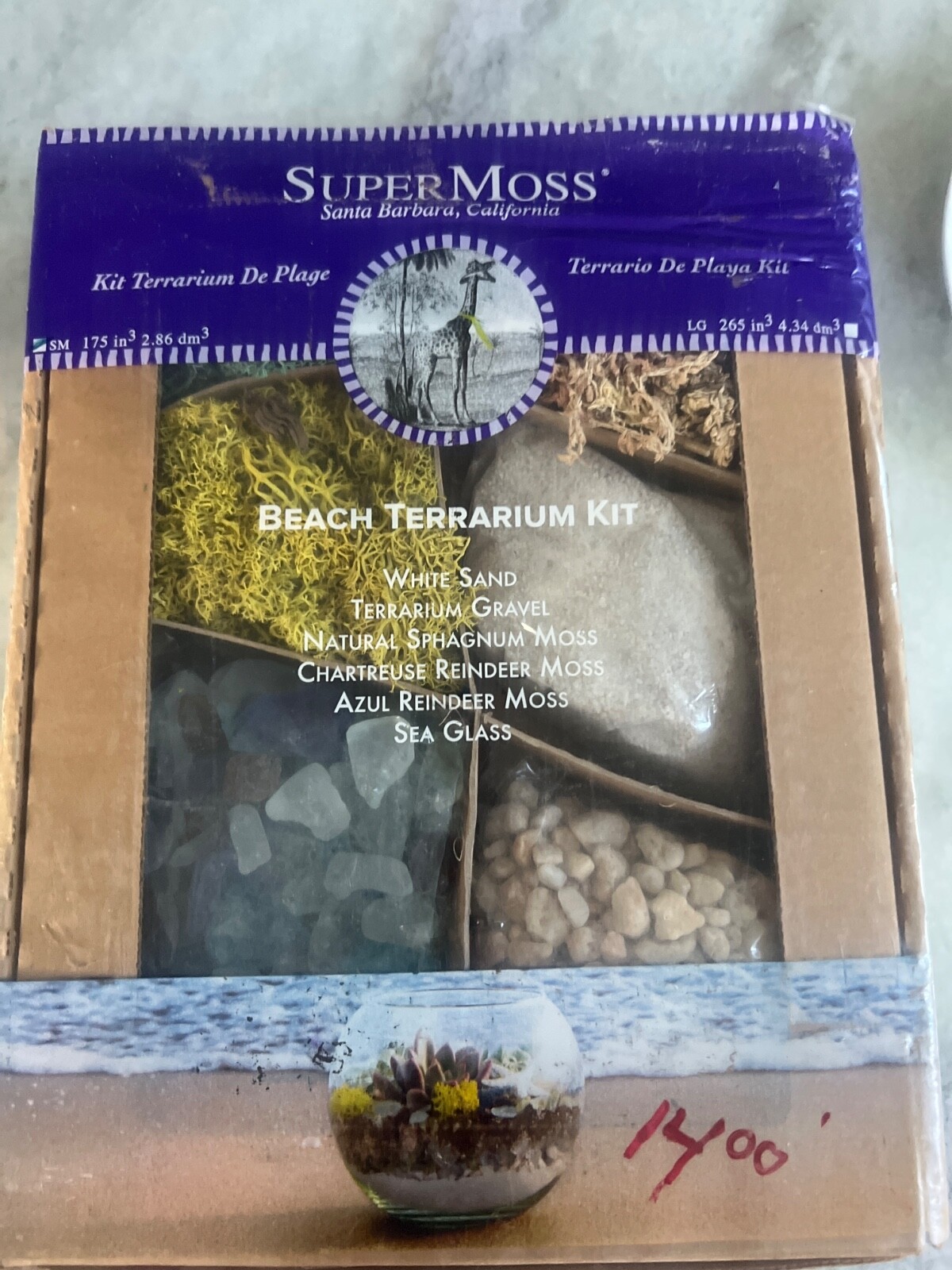 Super Moss Beach Terrarium Kit DIY Terrarium Making Kit