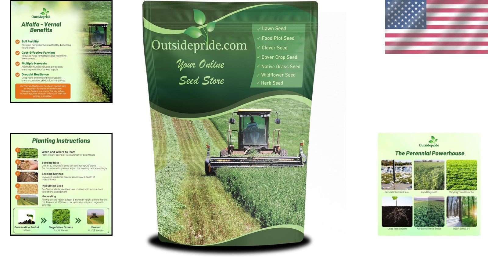 Alfalfa Seeds for Planting – High Yield Forage**