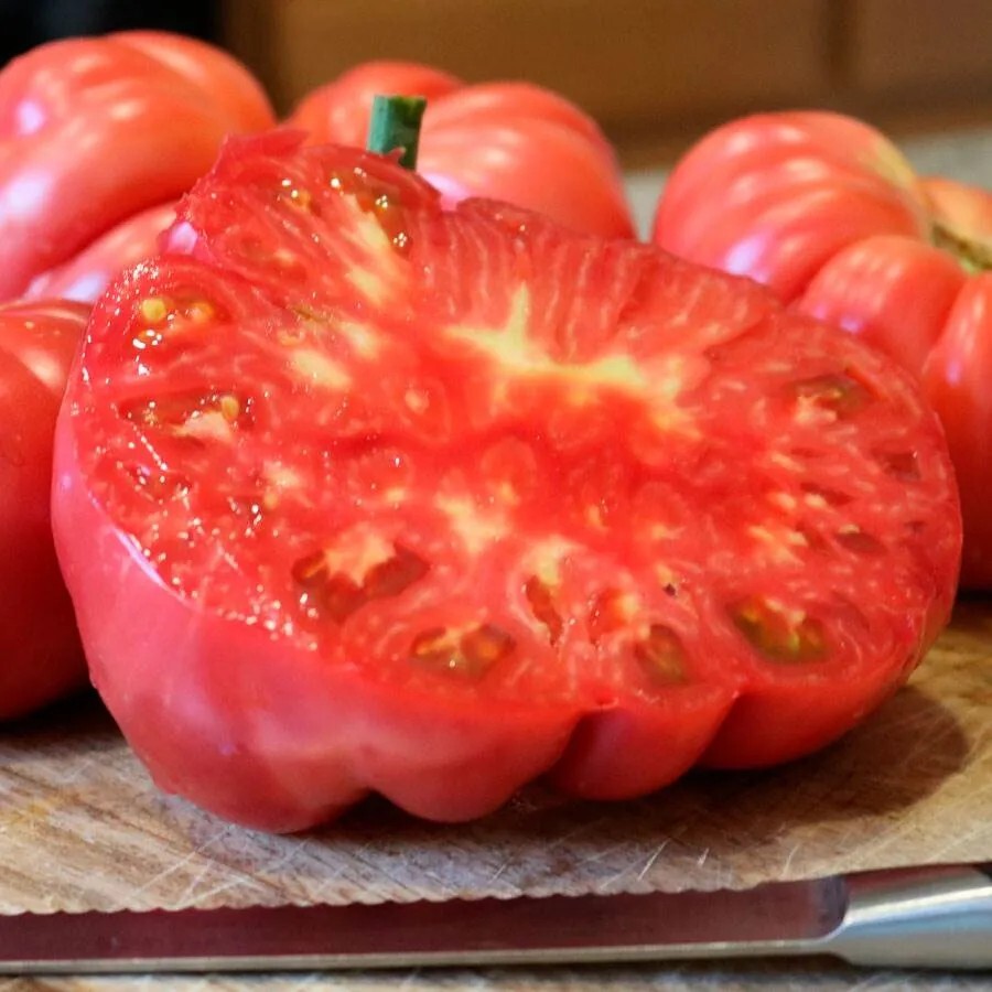 Delicious Tomato Seeds | NON-GMO | 50+ Seeds|7+ pounds | Indeterminate| Giant