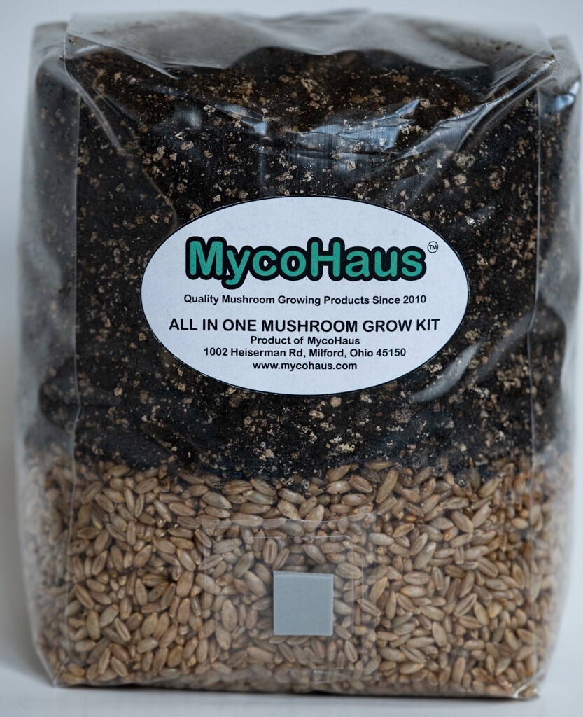 MycoHaus 16 Pack All in One 5 LB Rye & Compost Mushroom Substrate Spawn Grow Kit