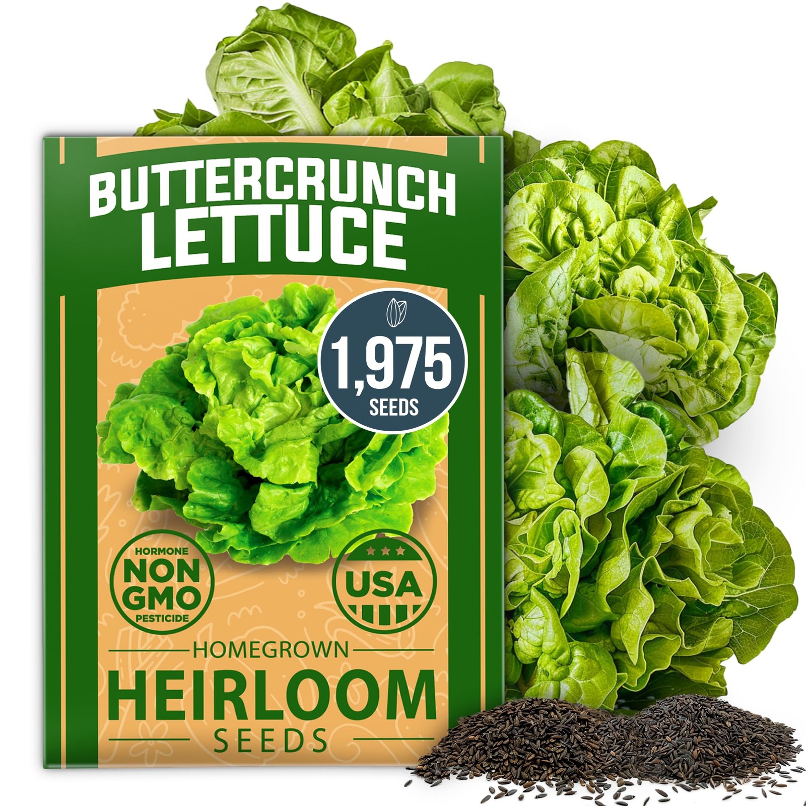HOME GROWN Buttercrunch Lettuce Seeds Bulk Pack 1975+ Heirloom 1-Pack, Green