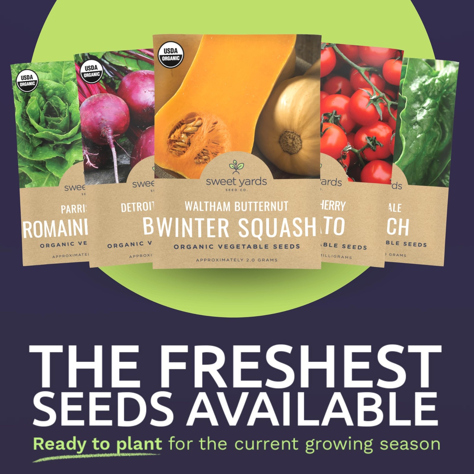 Organic Heirloom Garden Seeds Variety Pack – 10 Individual Packs – 2026 Seaso…