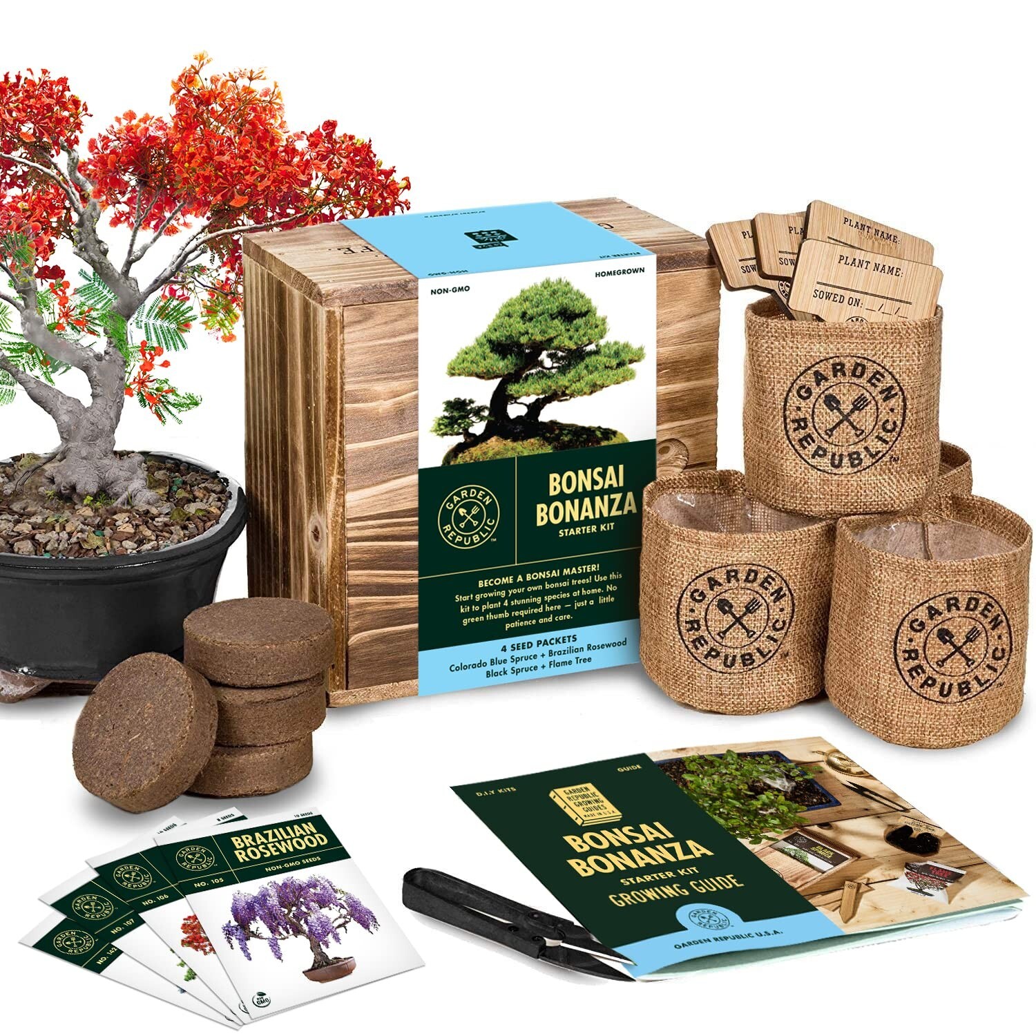 Bonsai Tree Seed Starter Kit – Mini Bonsai Plant Growing Kit, 4 Types of Seed…