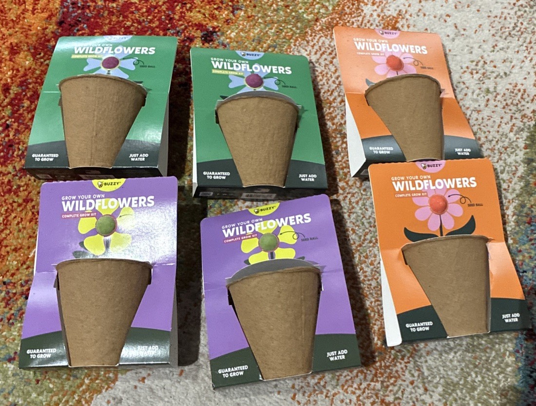 BUZZY Seeds Mini Pots 6 Pack with Plant Seeds For Wild Flowers!