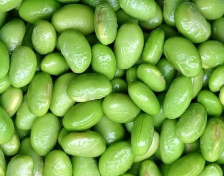 Soybean Deliciously Sweet Flavor With High Nutritional Content Proteins 60 Seeds