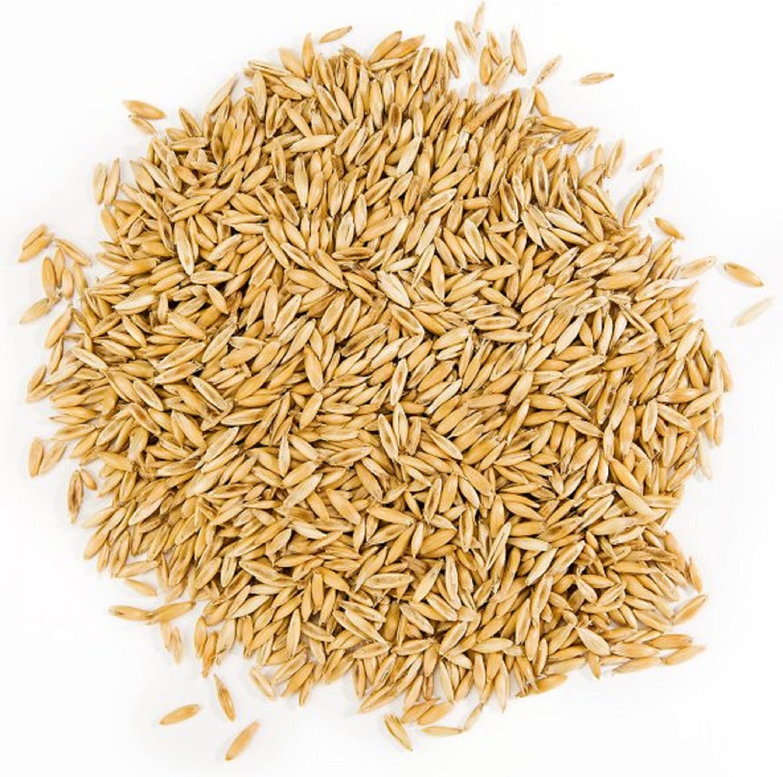 8oz Cat Grass Seeds – Non-GMO Wheatgrass – USA Grown by Country Creek