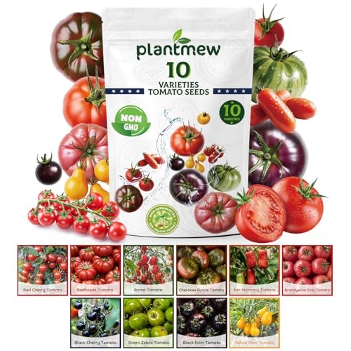 10 Heirloom Tomato Seeds – Open Pollinated Seeds for 10 Tomato Varieties