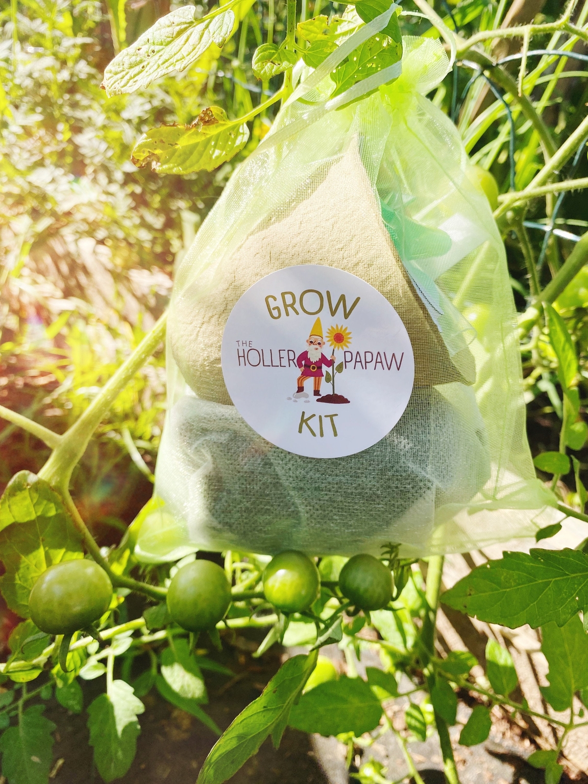 Indoor Pepper Grow Kit Gift Set – Heirloom (23 varieties) – Free Shipping!