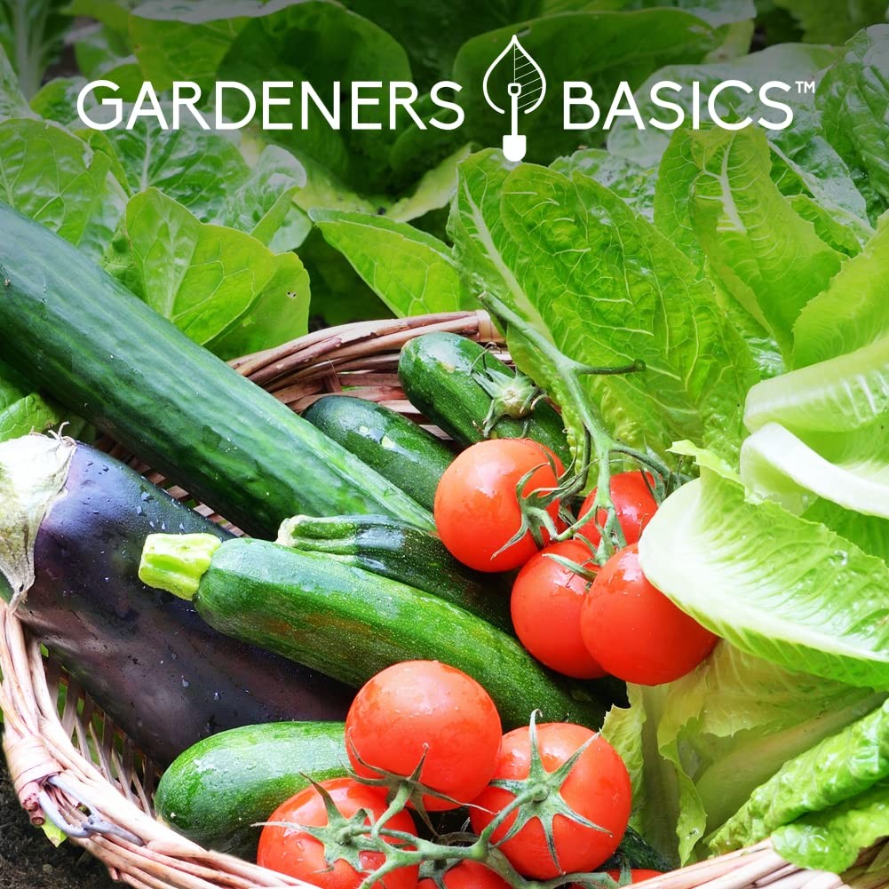 Gardeners Basics Seed Safe Kit 35 Easy to Grow Heirloom Vegetable Seeds for …