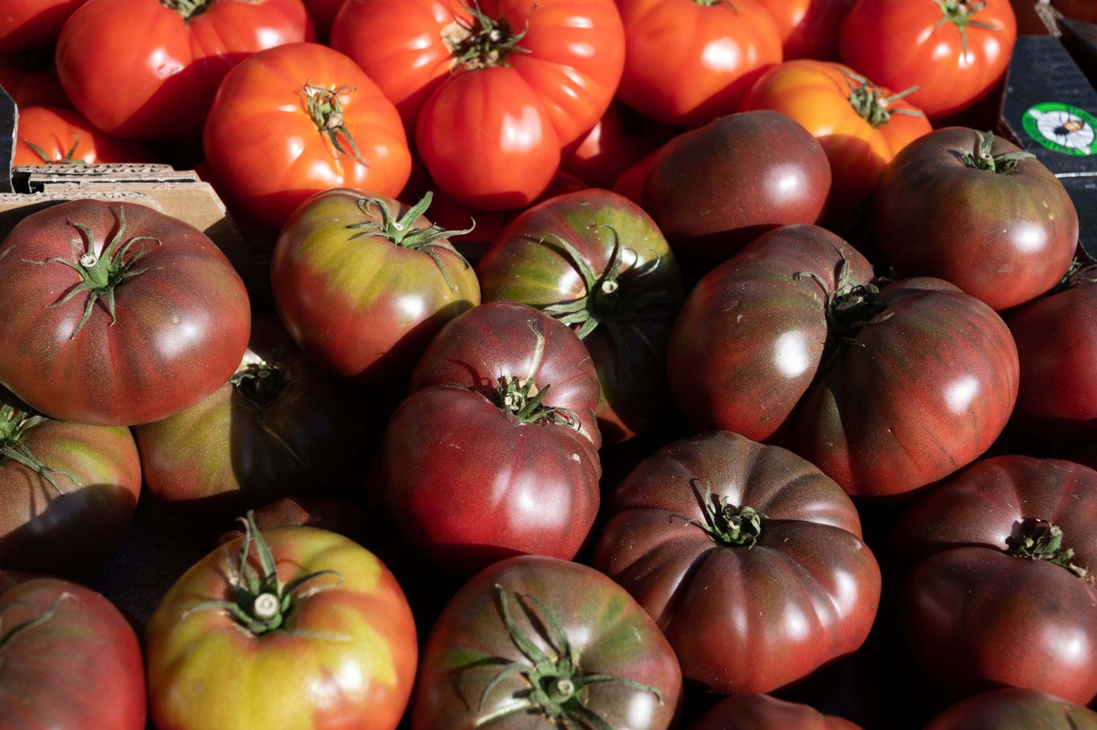 80 BLACK KRIM TOMATO Solanum Lycopersicum Indeterminate Heirloom Beefsteak Seeds