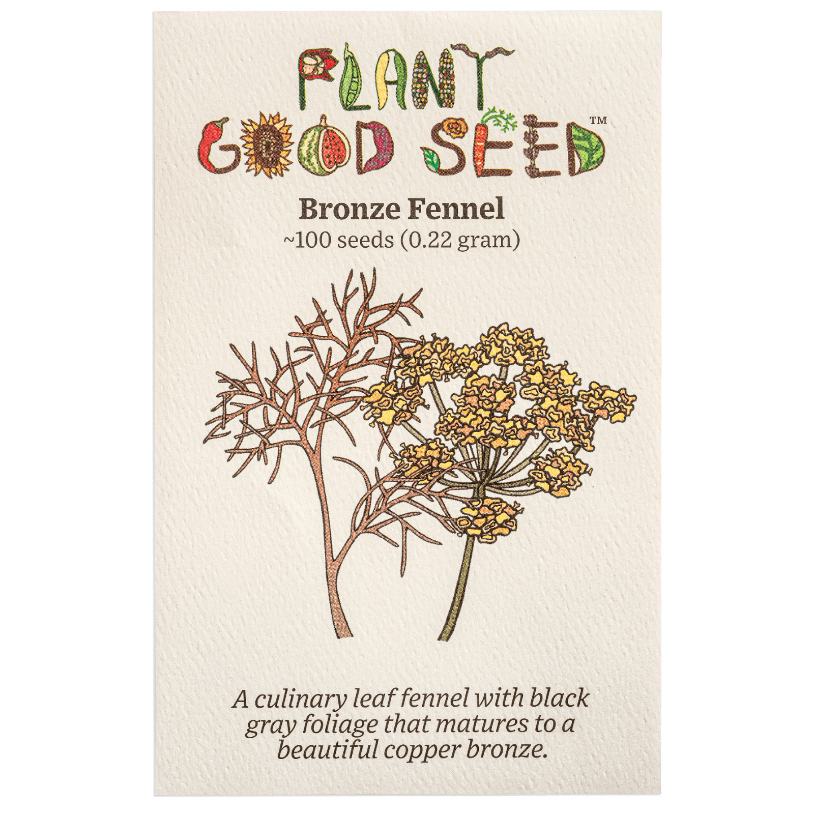 Bronze Fennel Seeds for Planting: 100 Packet Non-GMO Bulk Sweet Licorice Anise