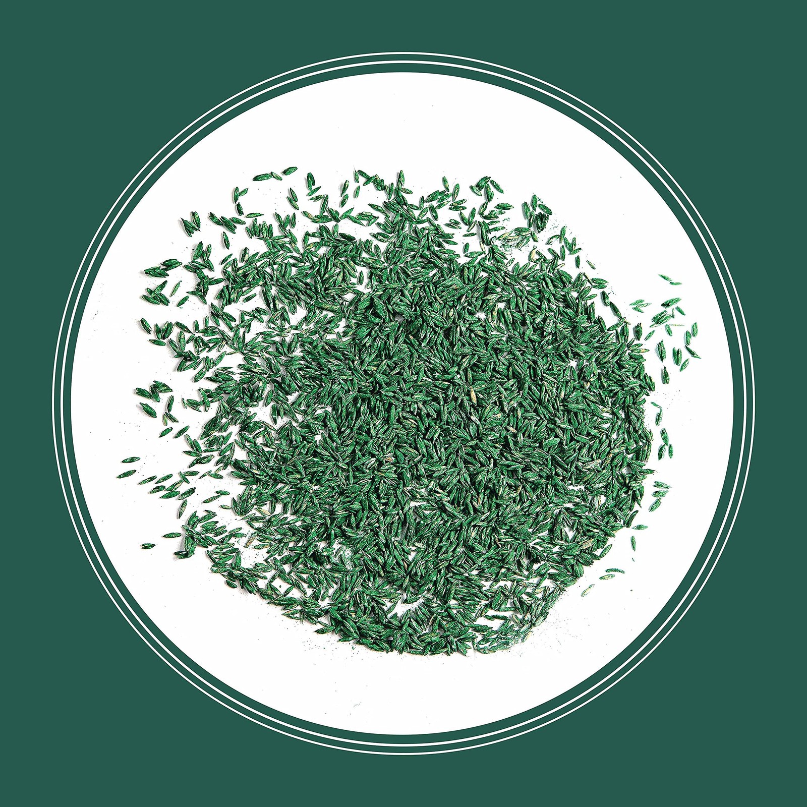 Pennington Smart Seed Sun And Shade Tall Fescue Grass Seed Mix For Southern