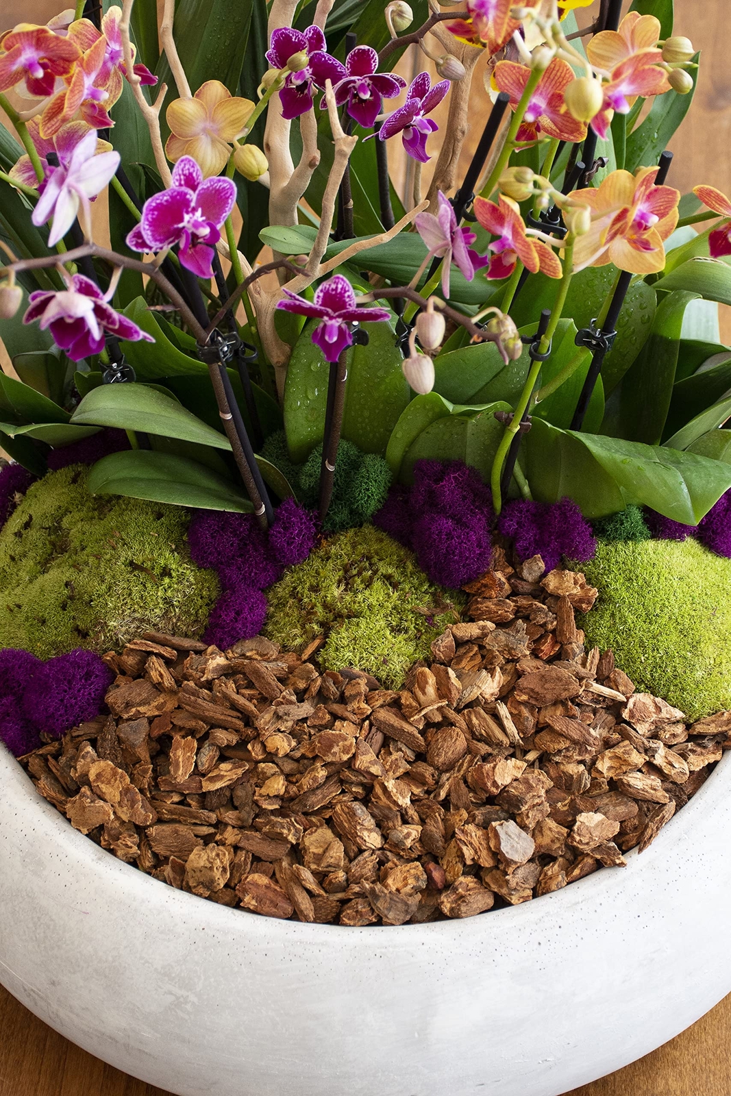 SuperMoss Moss Mix 80.75 in3 Natural Dried Decorative Moss for Crafts and Decor