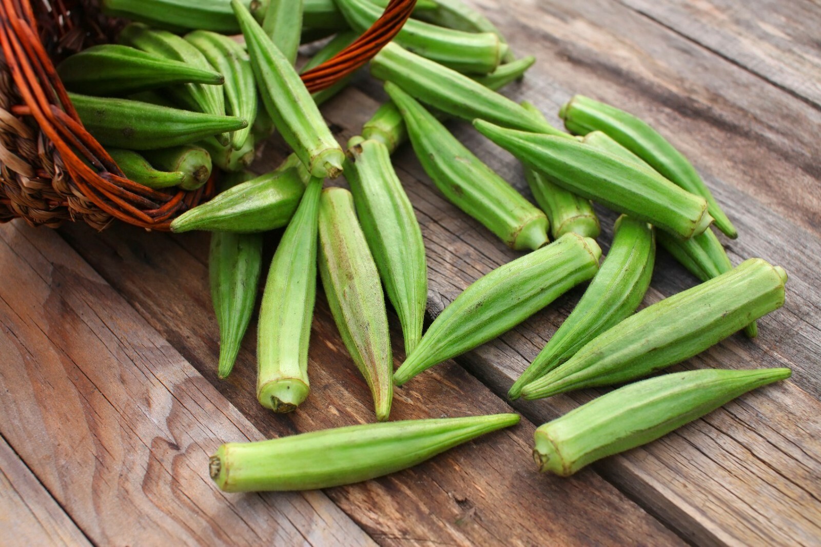 100+ Emerald Okra Seeds