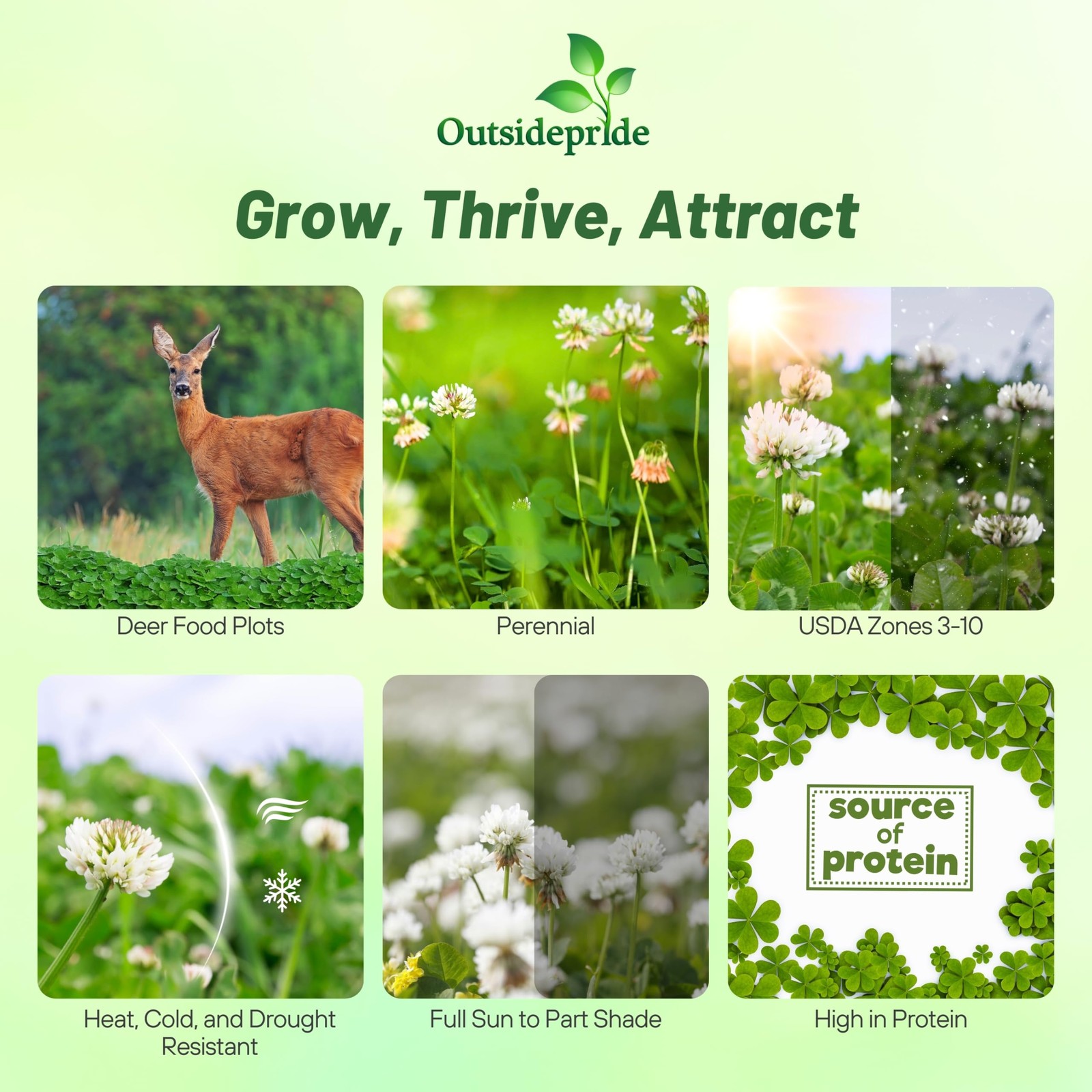 Outsidepride Perennial Clover King Seed Mix – 5 Lbs Nitrocoated Inoculated Heat