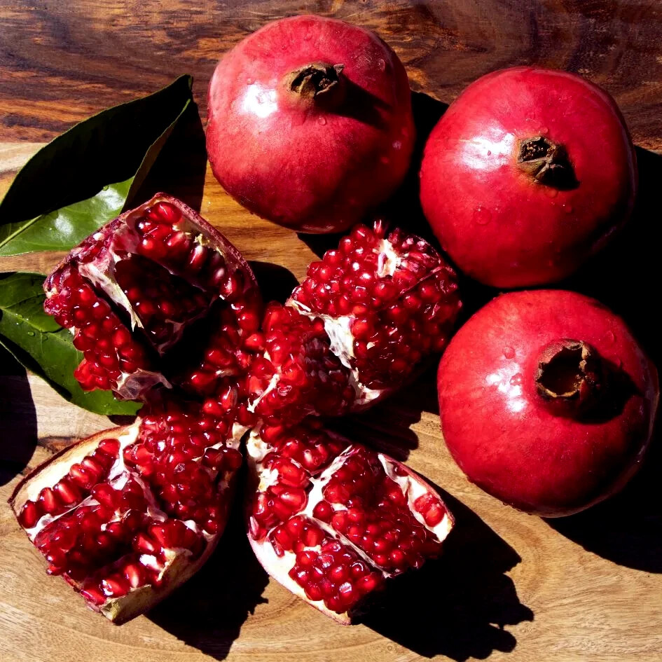 Pomegranate Tree Seeds (Punica granatum) “Apple of Granata Fruit” Shrub NON GMO