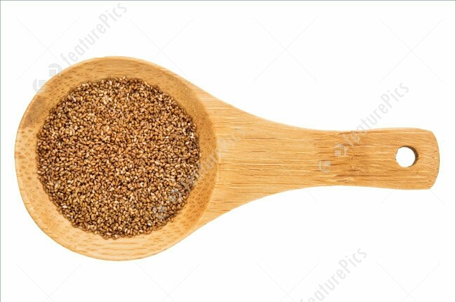 Ancient Grain Collection #1 Chia / Quinoa / Sorghum / Teff Seeds, Grow Your Own