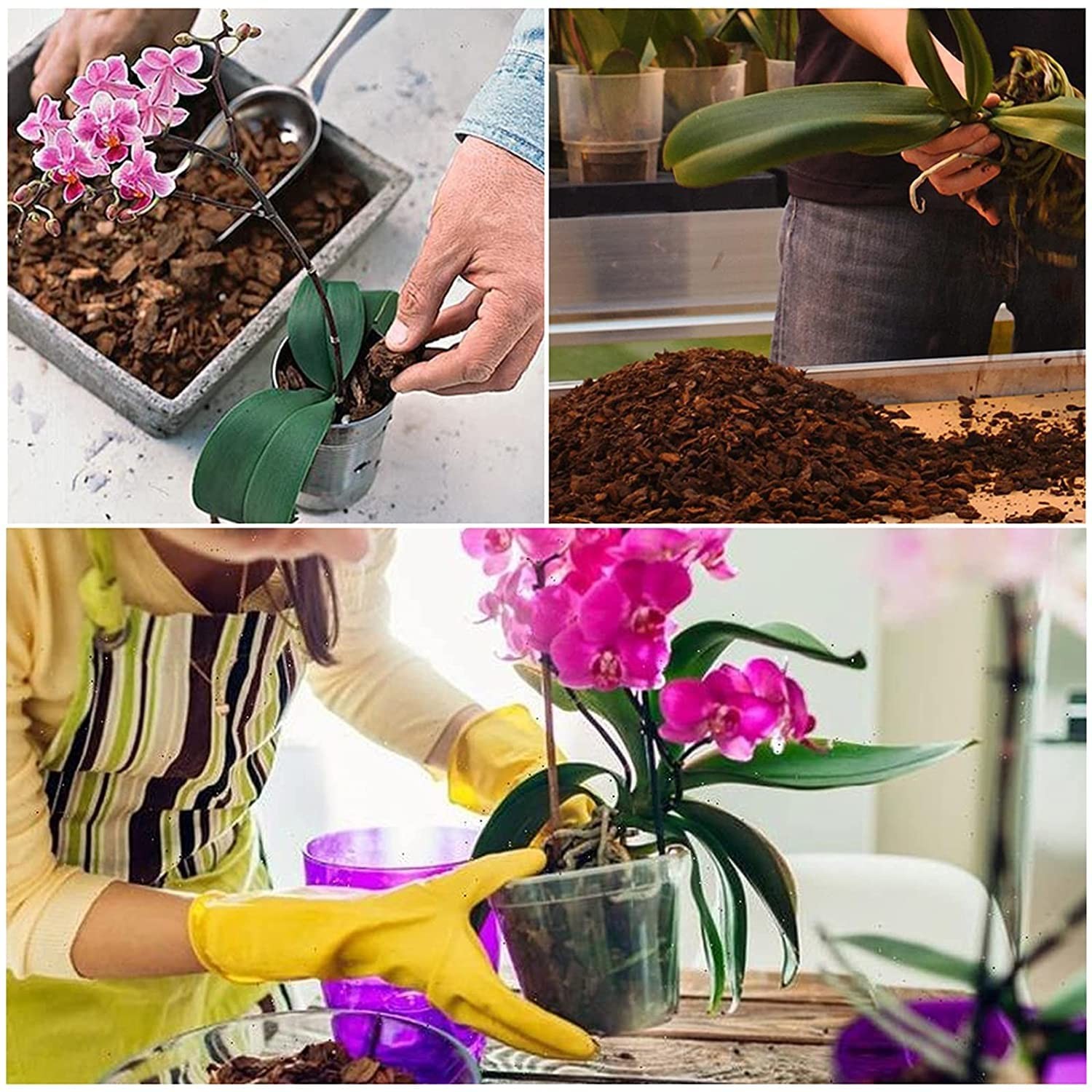 All Purpose Soil Potting Mix – Orchid Bark & Organic Perlite for Plants 1 qt