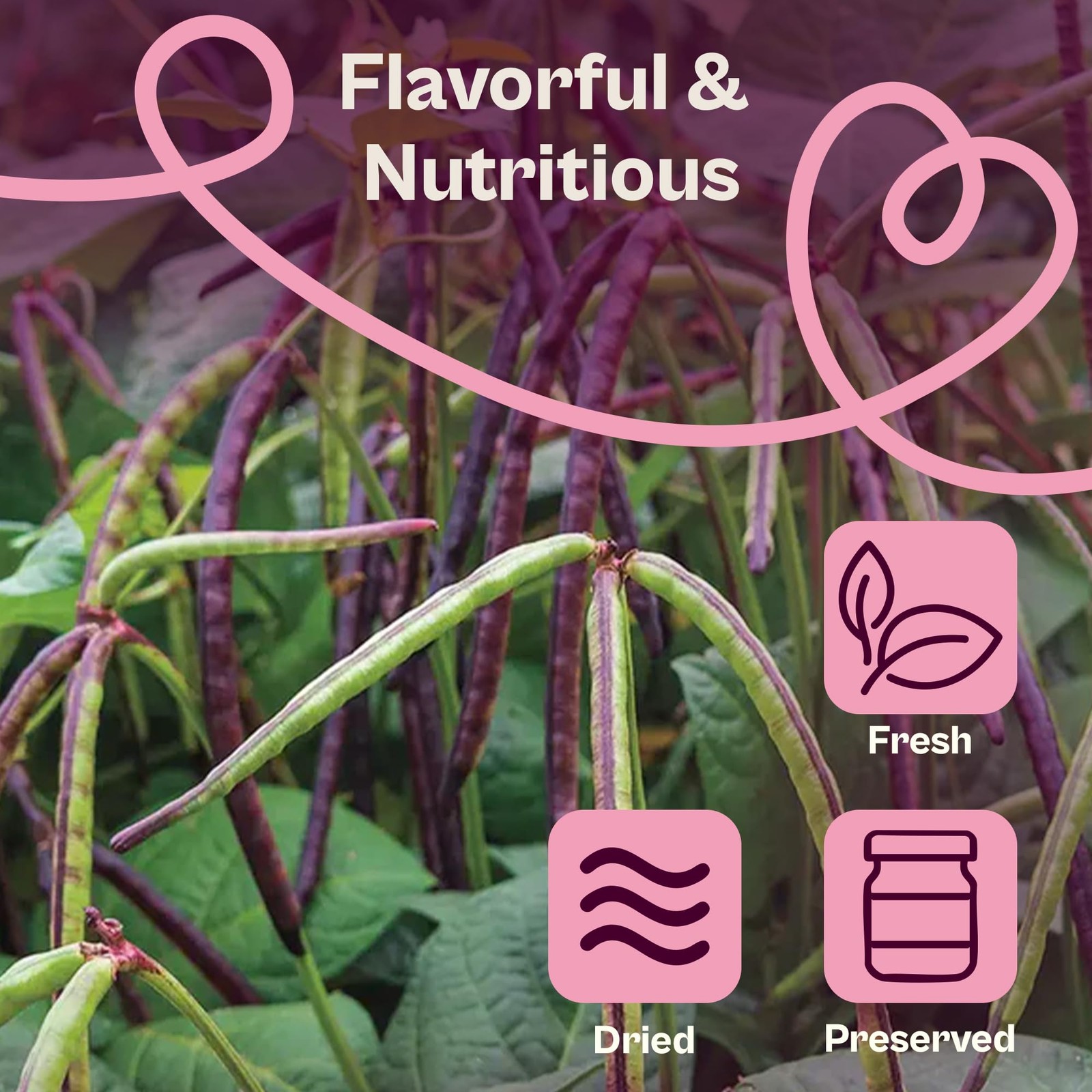 SVI 200 Mississippi Pinkeye Purplehull Pea Seeds (Vigna Unguiculata) – Purple