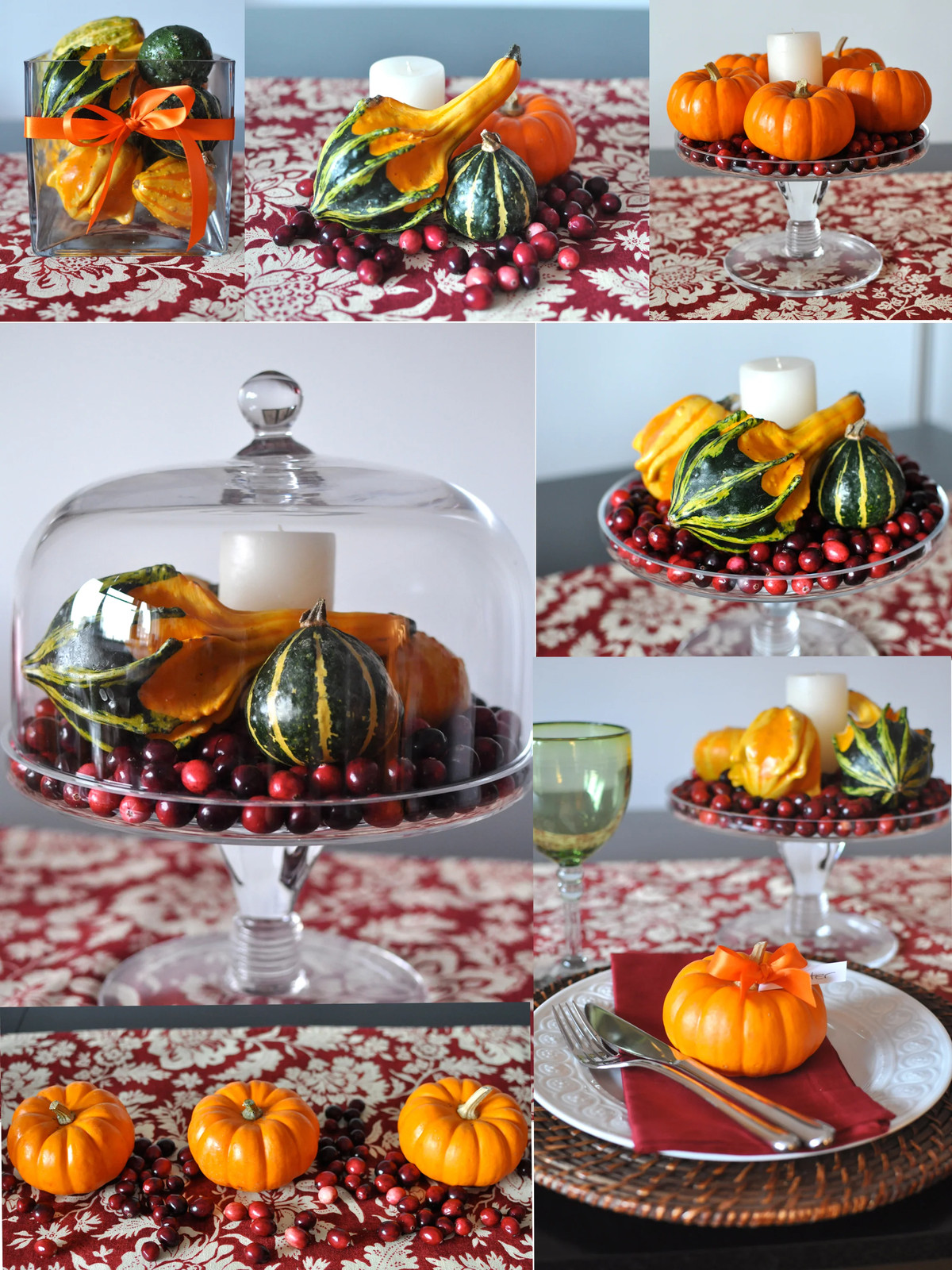 Small Ornamental Gourd Mix Seeds | Fall Garden Autumn Wing Pumpkin Squash 2023