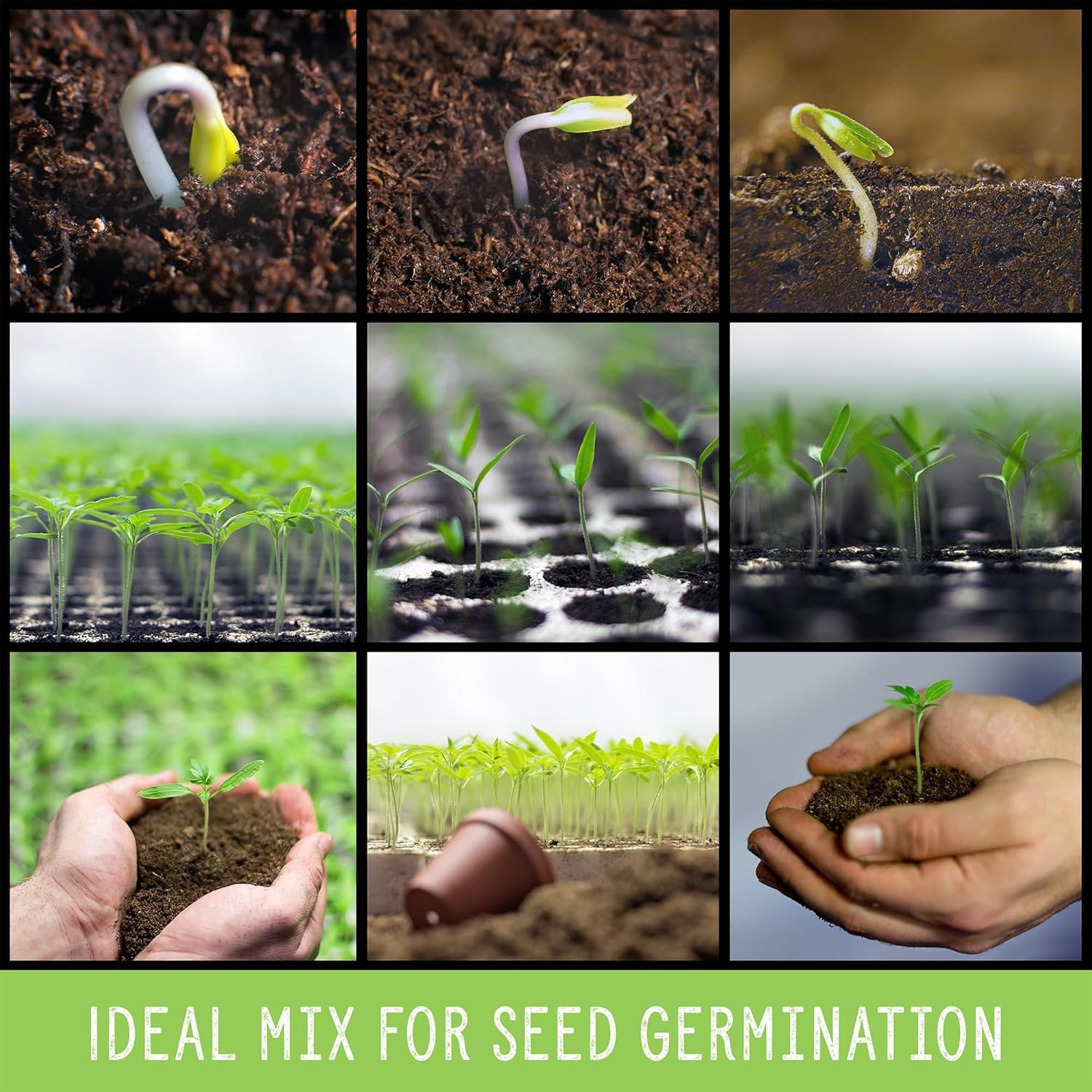 All Natural Seed Starting Mix (8 Quarts), Expert Grade Starter 8 Quarts