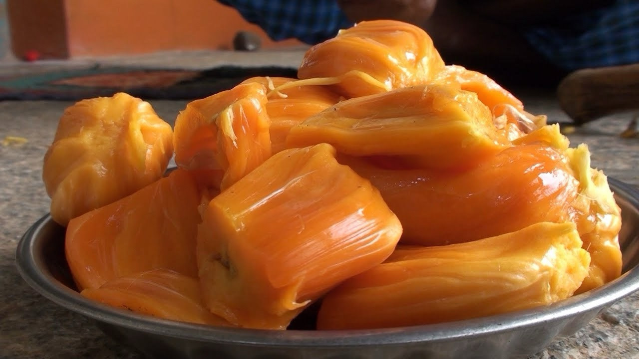 Jackfruit Orange Crush Tree 3Gal Pot Ship UPS Whole Pot