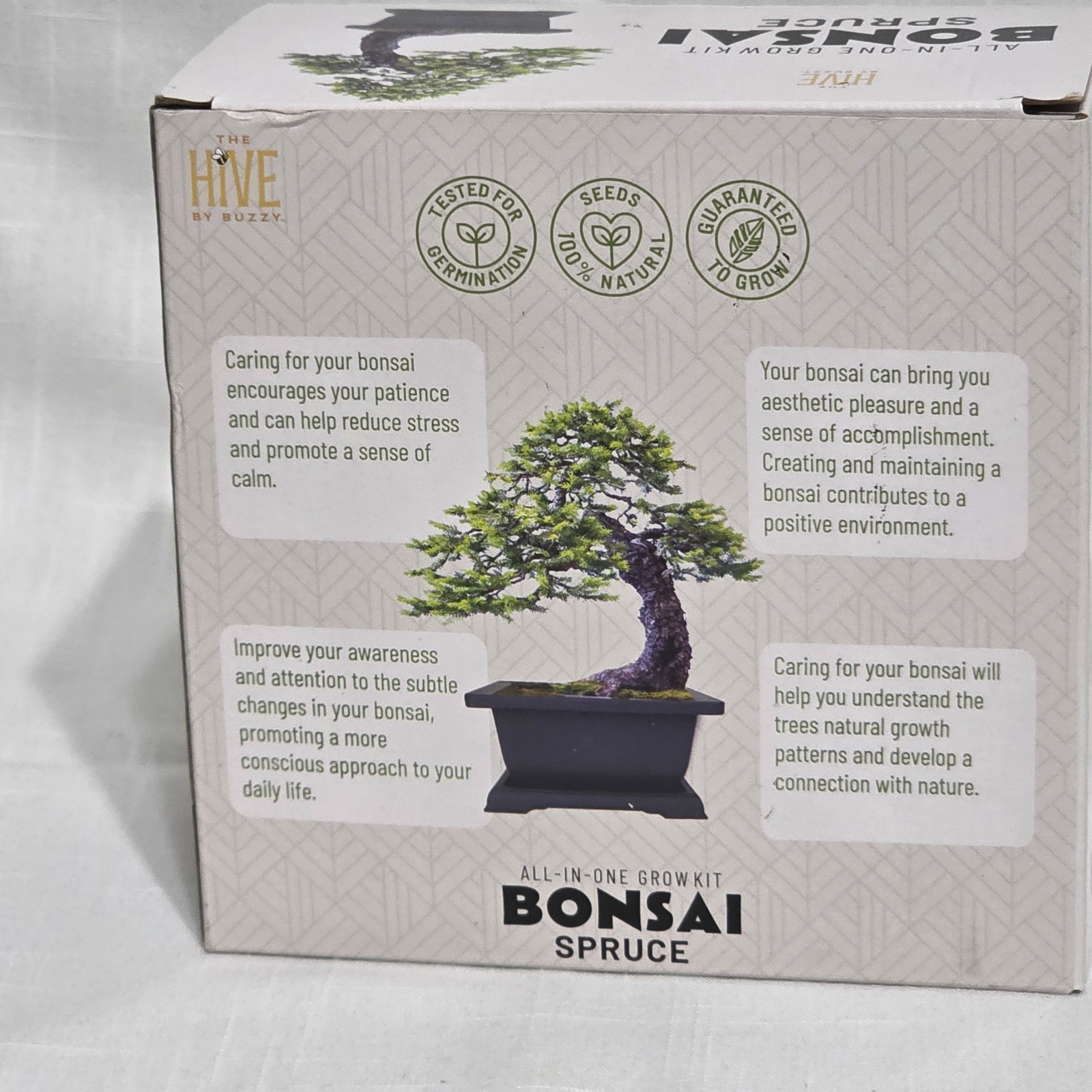 Spruce Bonsai Tree Grow Kit Complete Seed Starter Kit Pot Soil Seeds The Hive