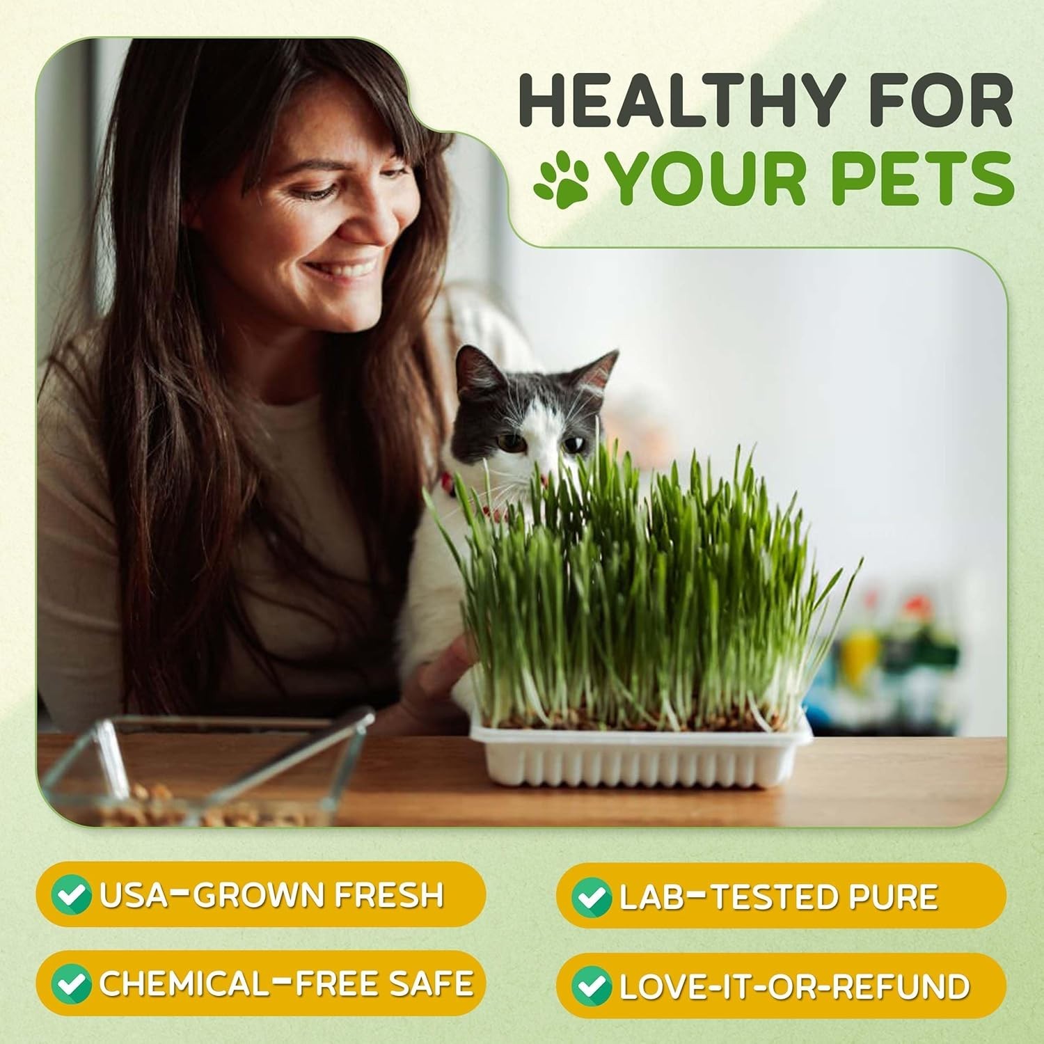 100% Chemical-Free Cat Grass 1lb – Wheatgrass for Digestive Health & Well-Being