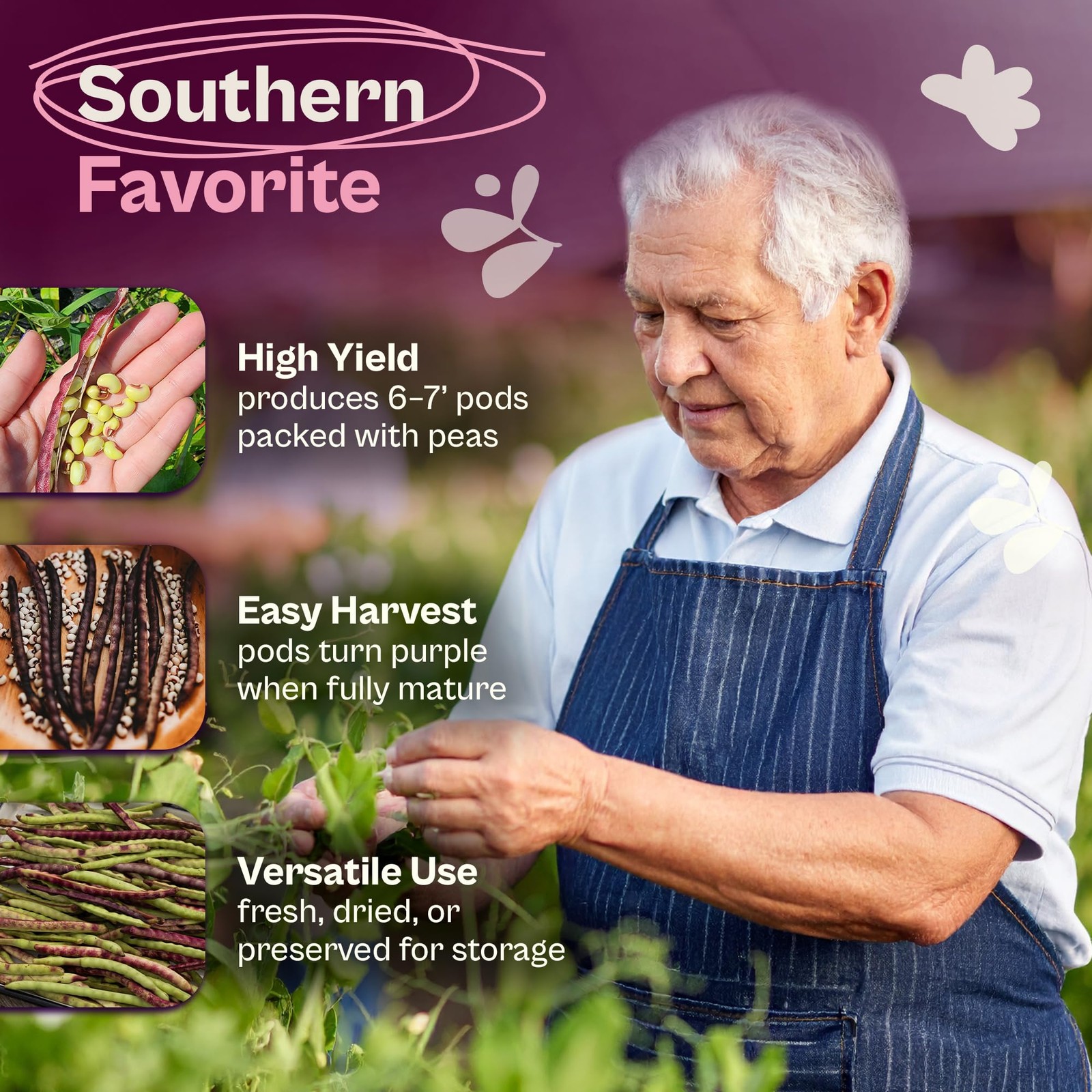 SVI 200 Mississippi Pinkeye Purplehull Pea Seeds (Vigna Unguiculata) – Purple
