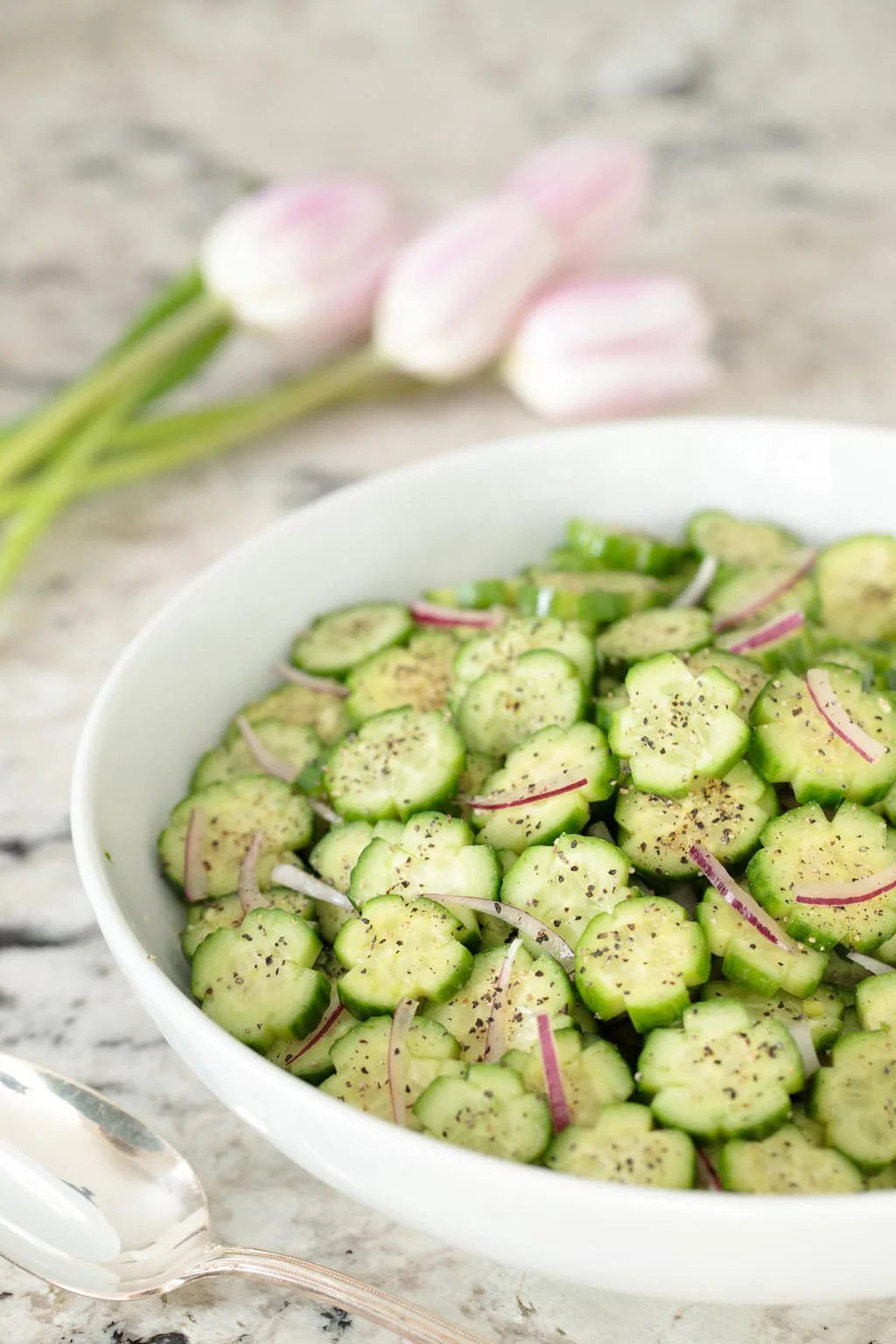 Straight Eight Cucumber Seeds | AAS Winner Slicing Cucumbers Seed Fresh for 2024