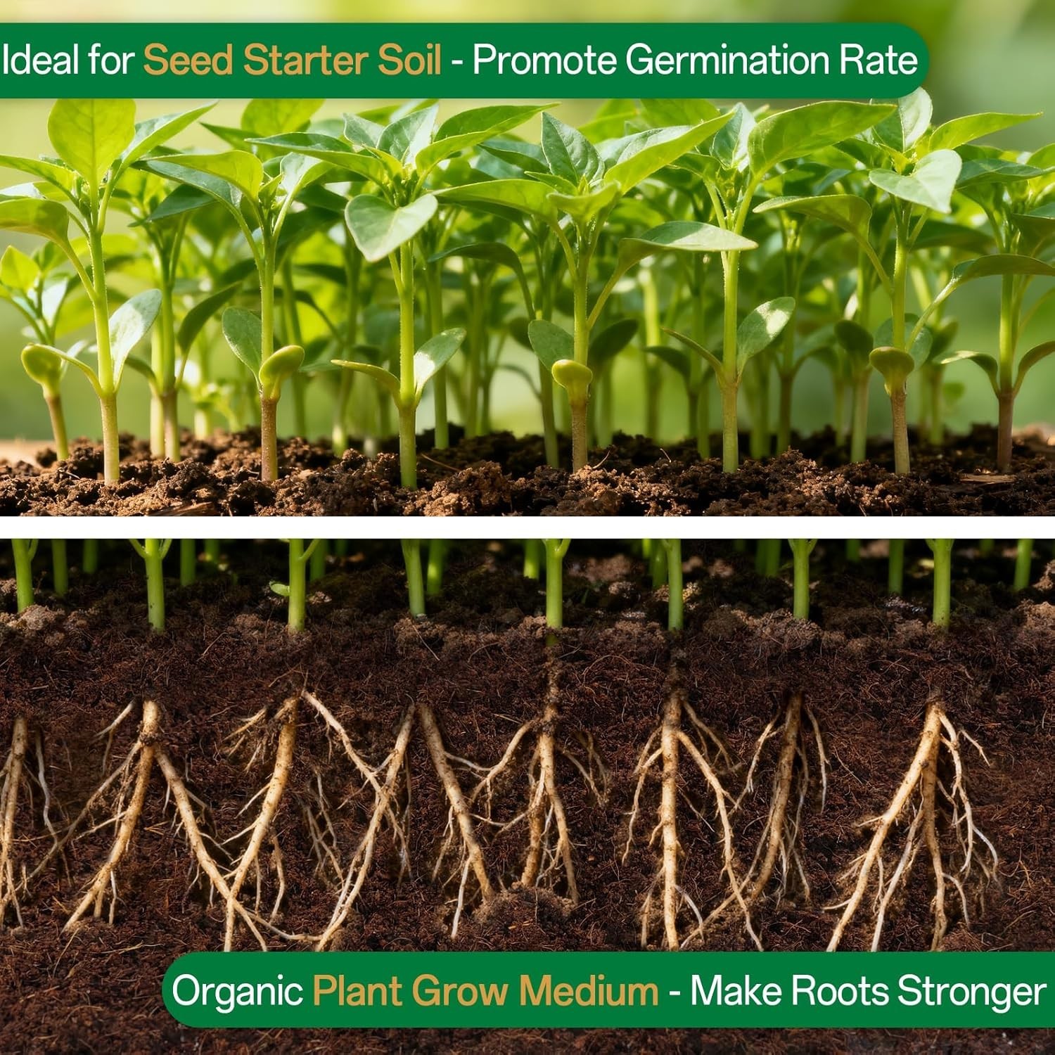100% Organic Coco Coir Bricks – 15 Quarts Expandable Seed Starter Soil, 2 Pack