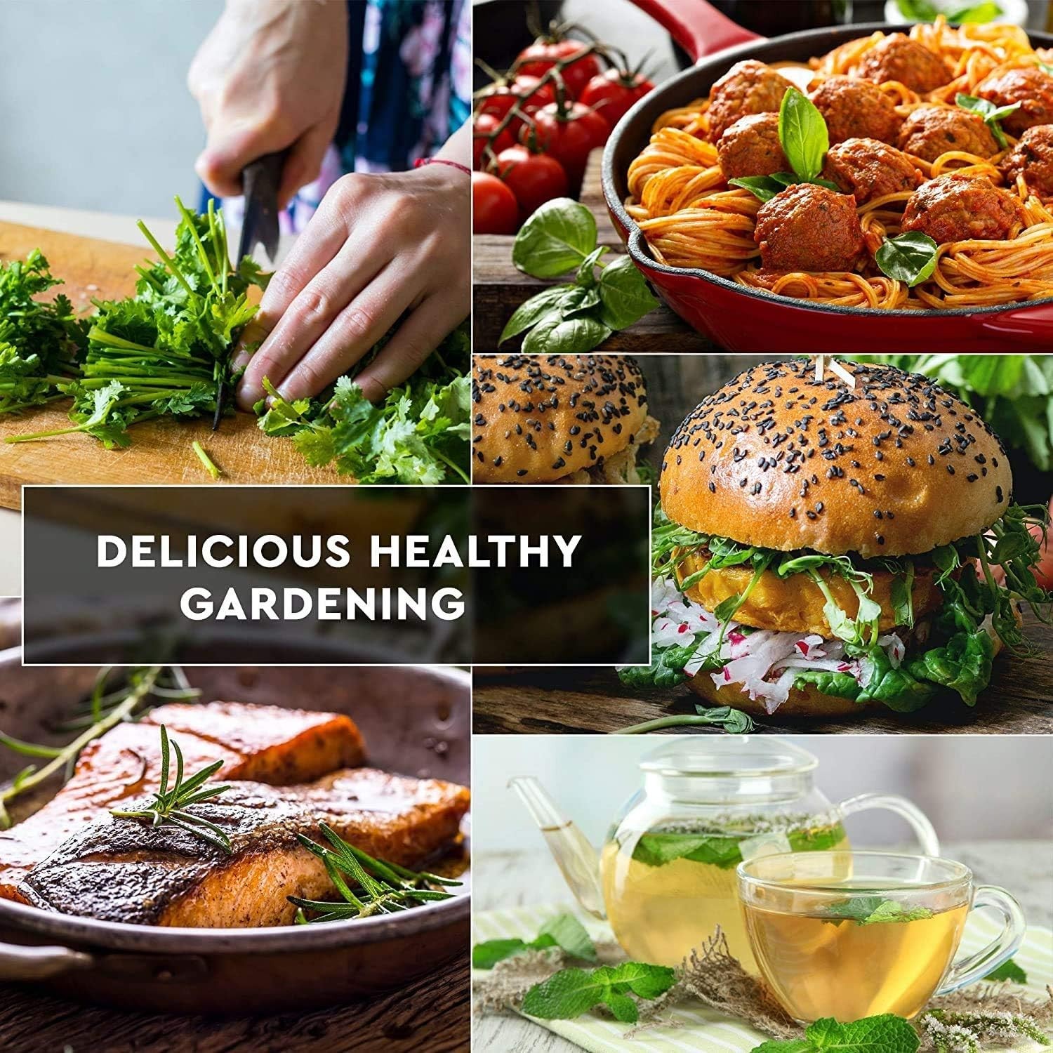 14 Culinary Herbs Seeds – High Germination Rate, USA Grown Non-GMO Varieties