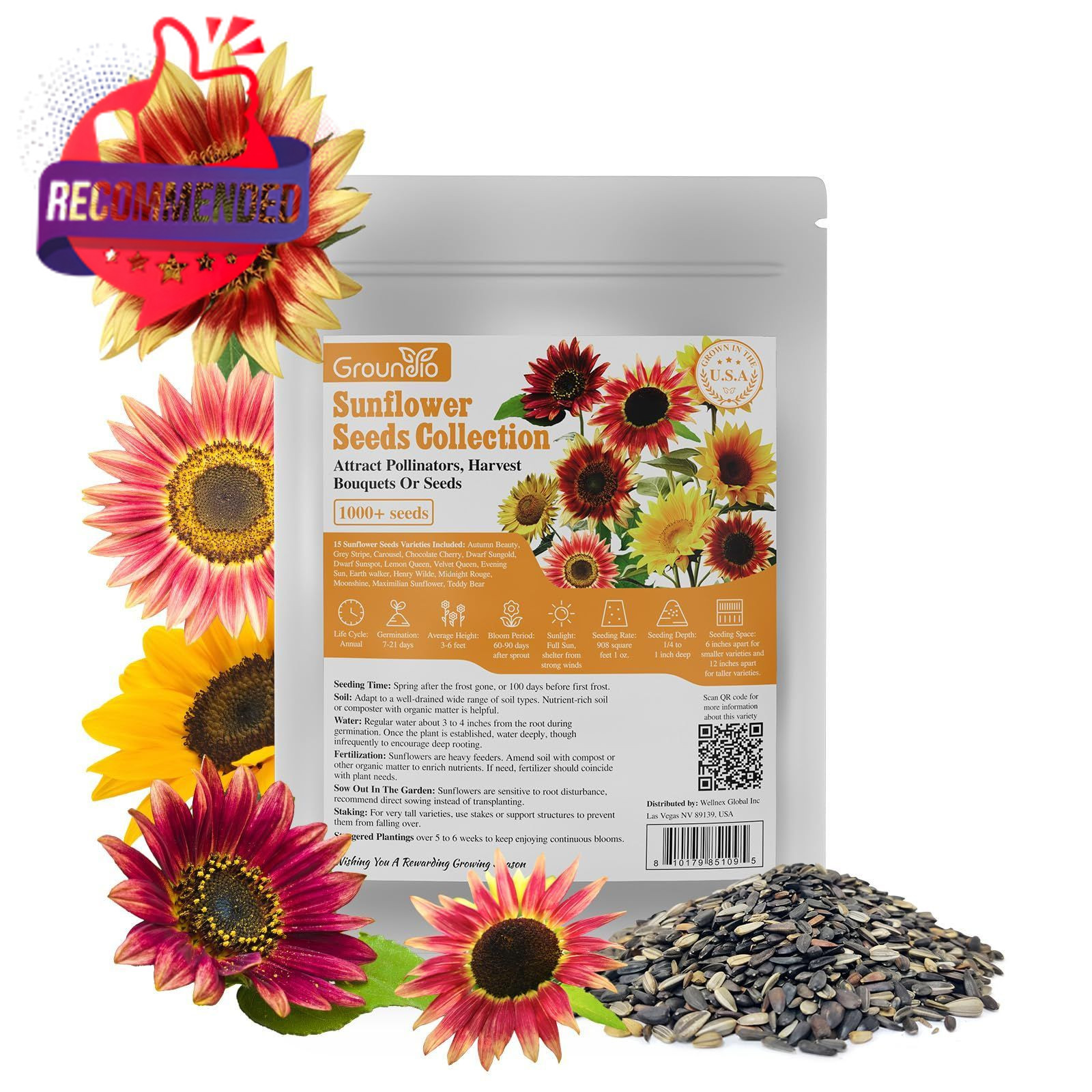 Sunflower Seeds Planting 15+ Varieties 1 Oz Mixed Colors Outdoor Garden Blooms