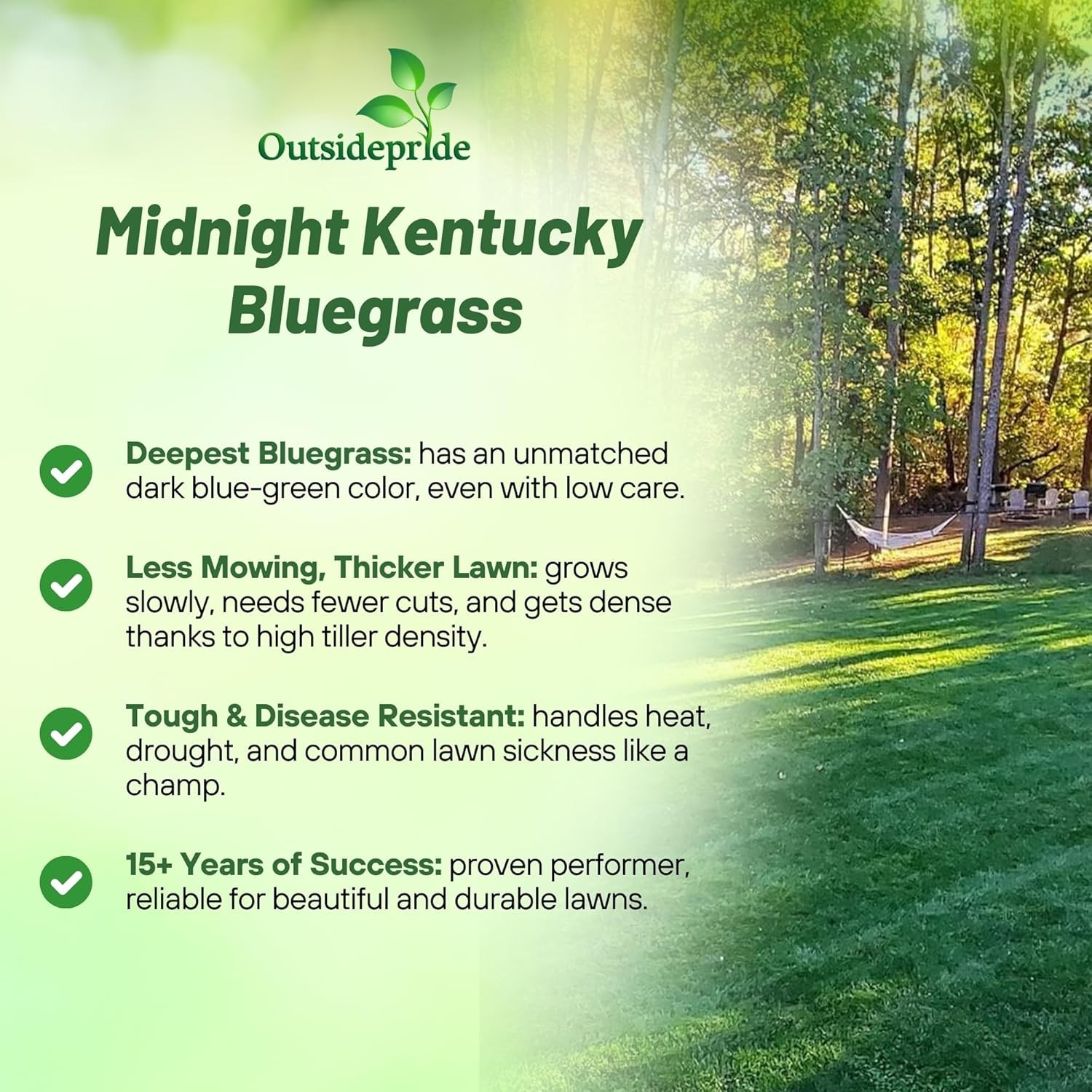 10 LBS – OptiGrowth Coated Kentucky Bluegrass Seed For Lawns – Bluegrass