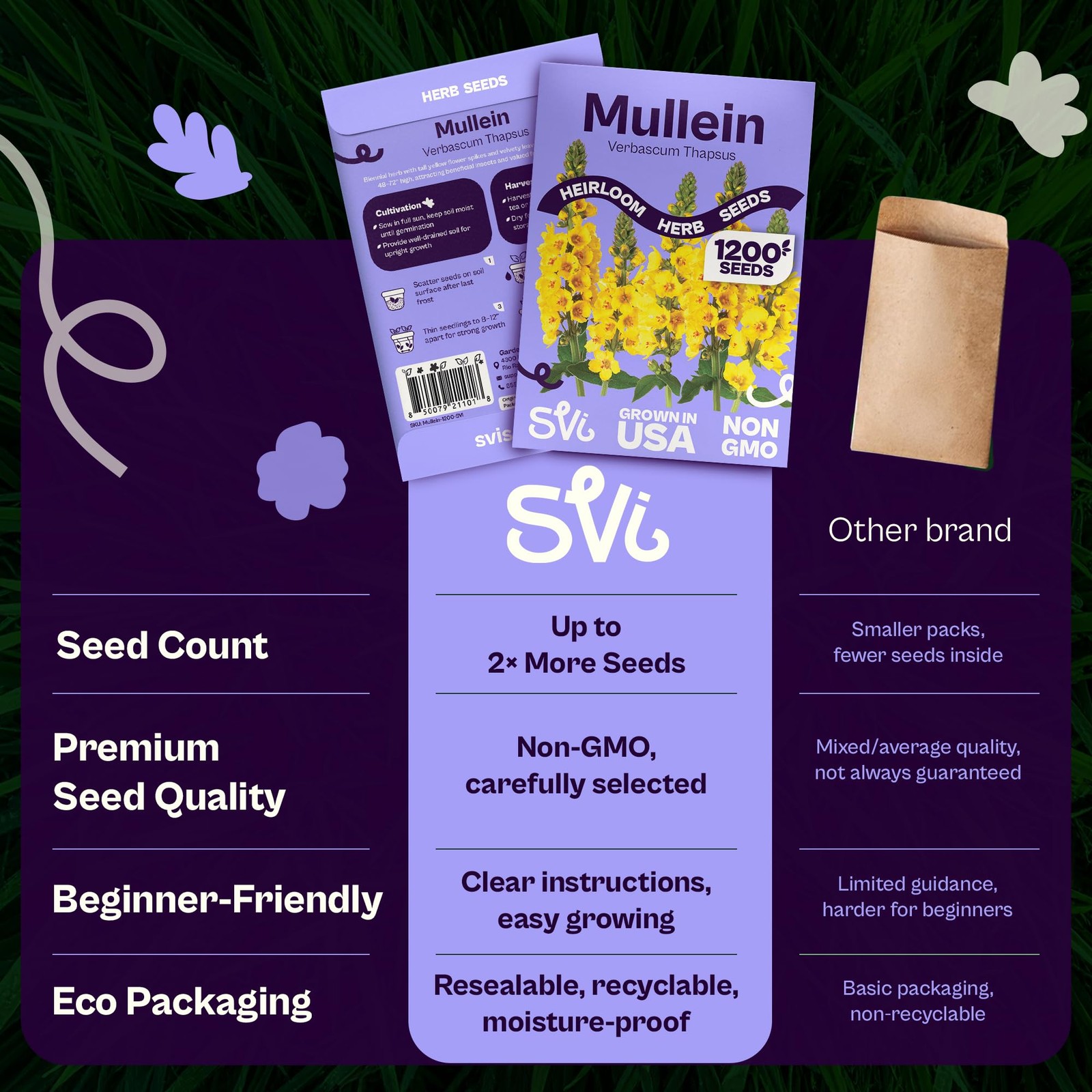 SVI 1200 Mullein Seeds for Planting (Verbascum thapsus) – Great Yellow