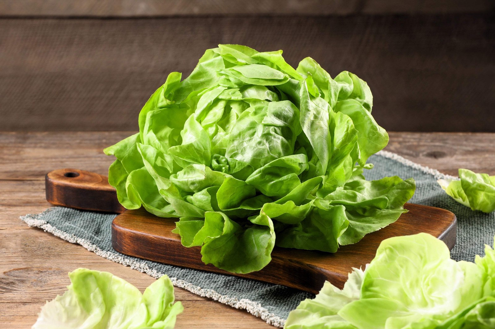 3000 WHITE BOSTON LETTUCE 12″ Green Butterhead Lactuca Sativa Vegetable Seeds