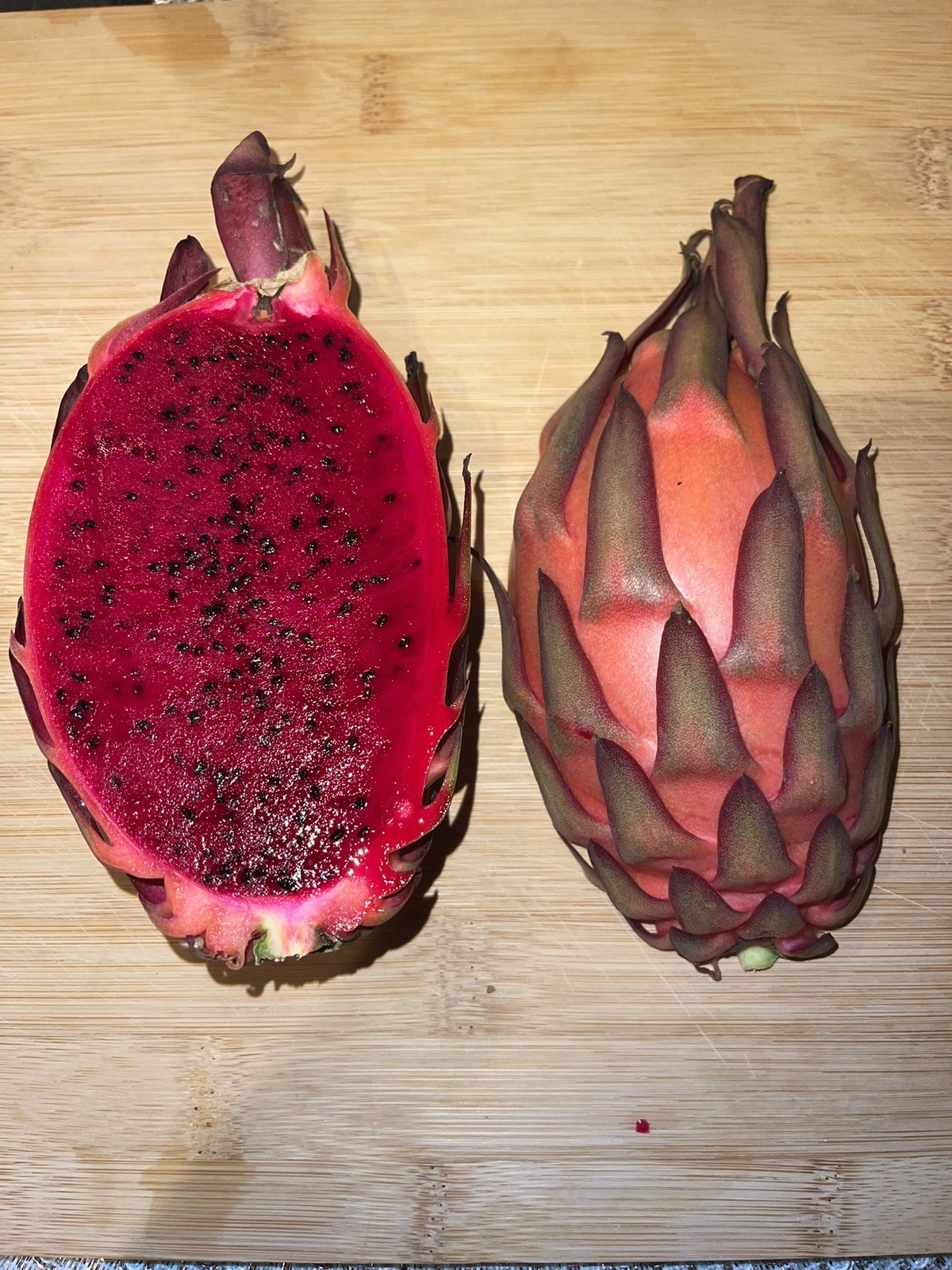 Mature “ TRICIA ” Dragon Fruit Cuttings