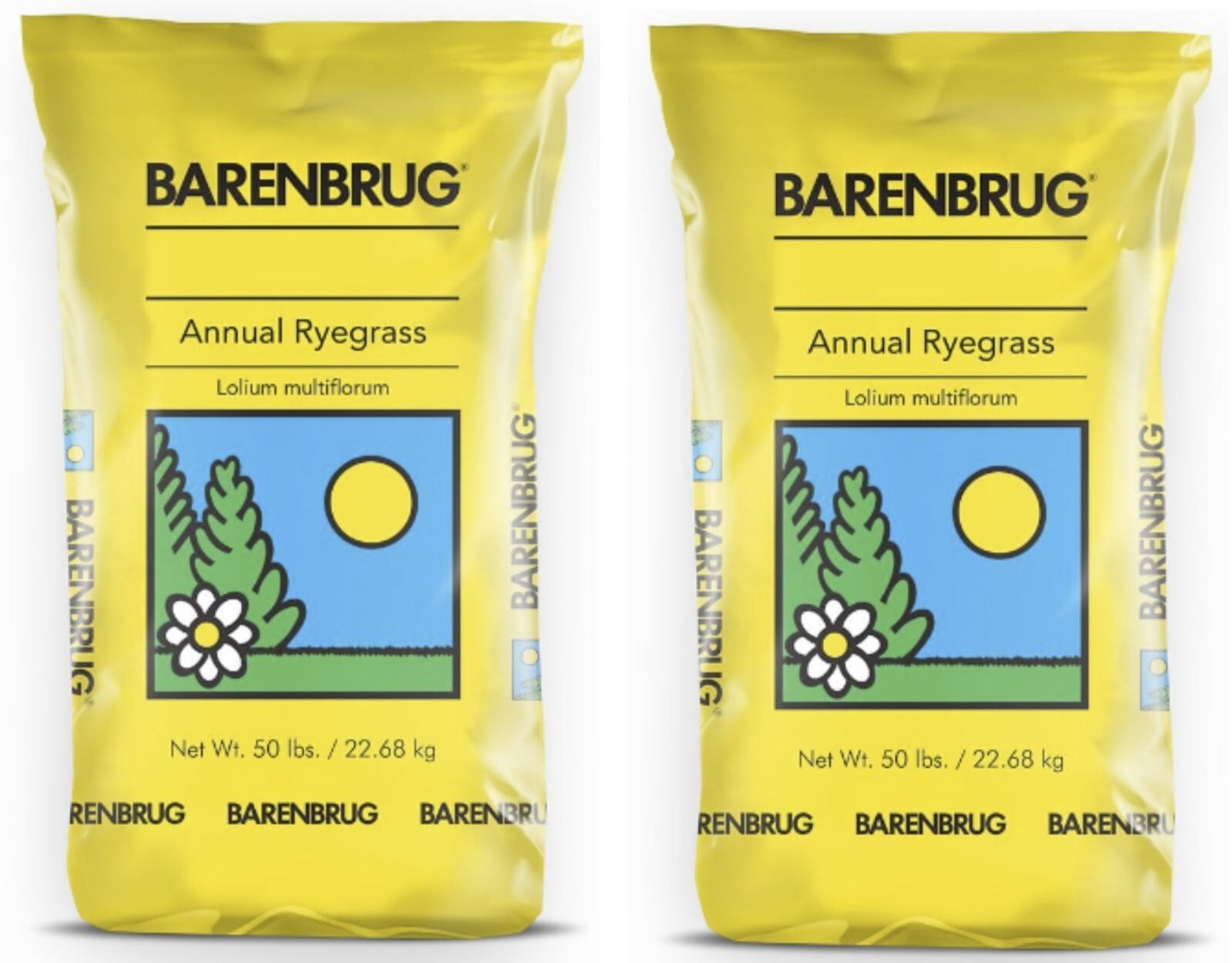 Barenbrug 491087 50 lb Bulk Annual Rye Ryegrass Grass Seed – 2 bags (100 lbs )