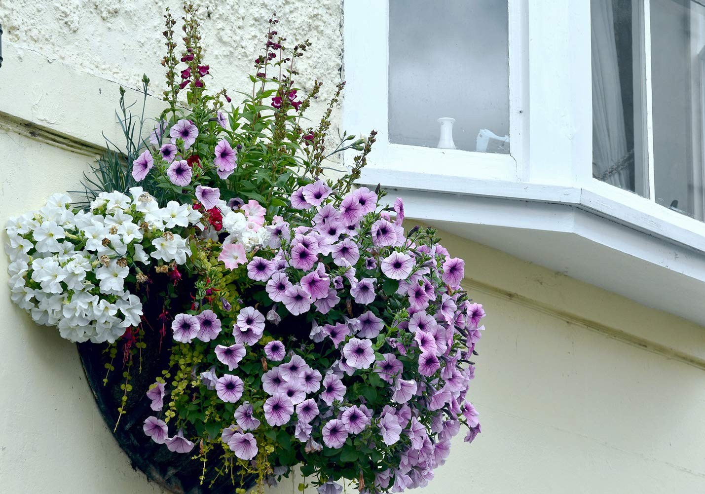 2PCS Half Round Coco Fiber Liner Replacement for Hanging Basket Planter