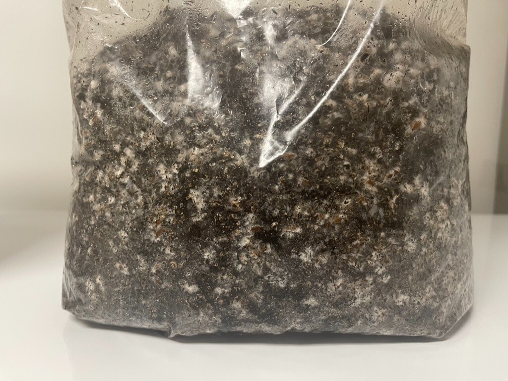 MycoHaus 5 LBS Sterilized Compost Bulk Mushroom Substrate Grow Kit Spawn bags