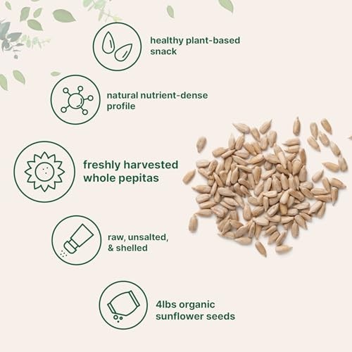 Organic Sunflower Seeds 4lbs – Raw Unsalted Shelled Kernels | Low Carb Snack, Ba