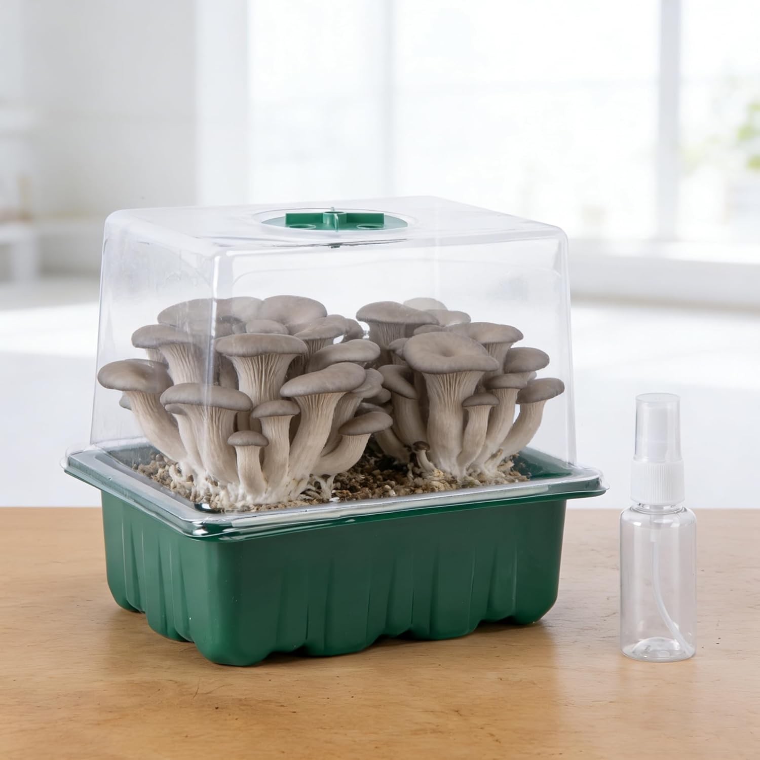 Monotub Mushroom Grow Kit 2 Pack Small 6.5in Fruiting Chamber Box Container