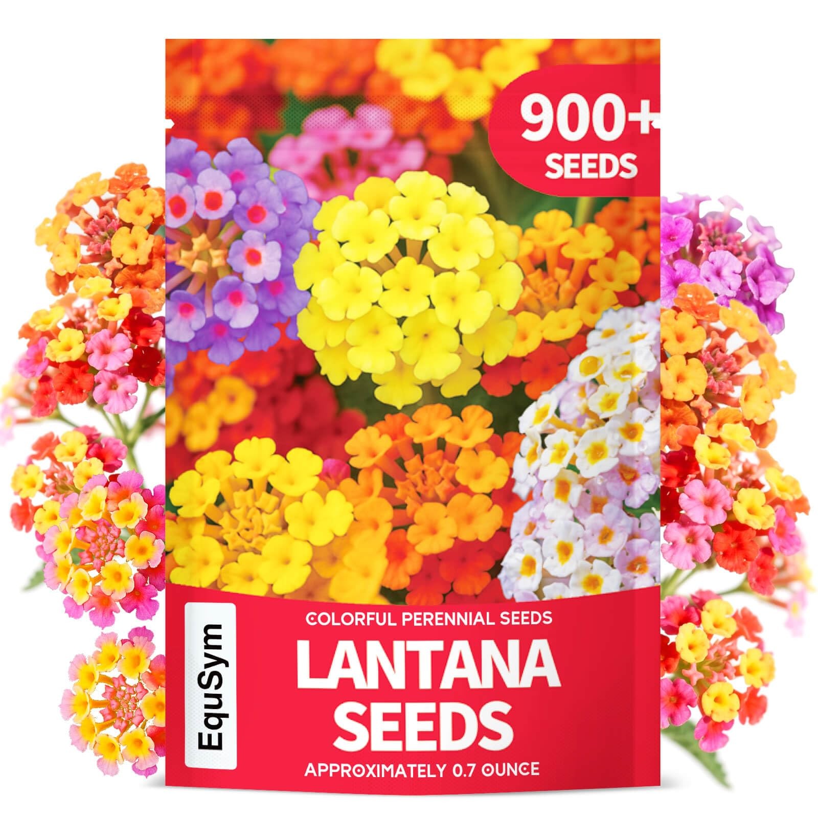 900+ Lantana Flower Seeds – Mixed Colors | Heat &